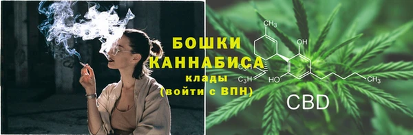 ПСИЛОЦИБИНОВЫЕ ГРИБЫ Горнозаводск