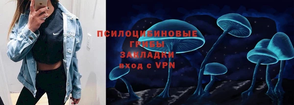 ПСИЛОЦИБИНОВЫЕ ГРИБЫ Горнозаводск