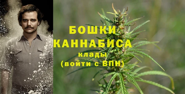 ПСИЛОЦИБИНОВЫЕ ГРИБЫ Горнозаводск