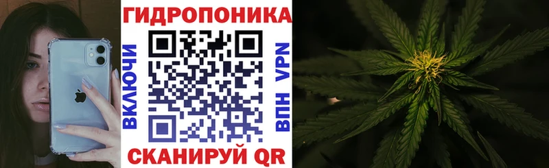 Бошки Шишки гибрид Кувандык